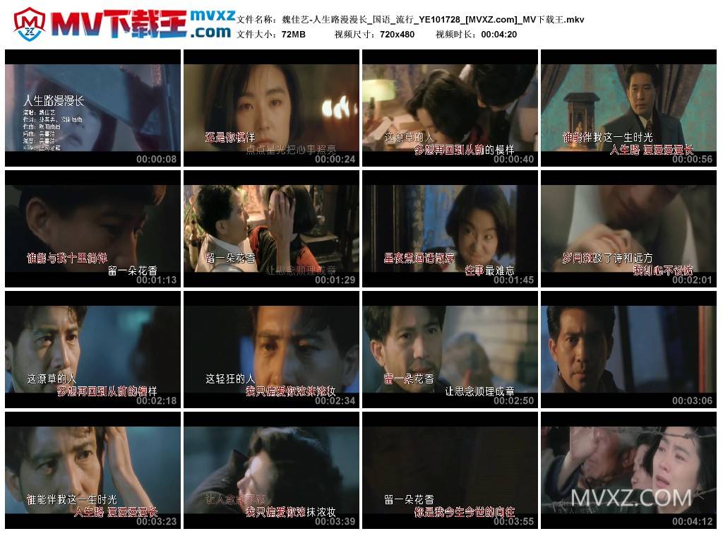 魏佳艺-人生路漫漫长_国语_流行_YE101728